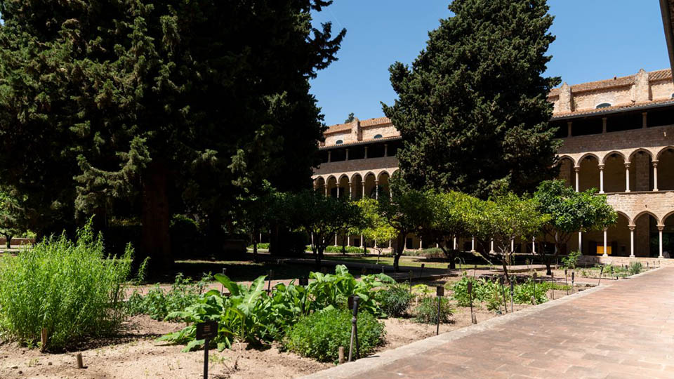 Orchard of the Royal Monastery of Santa Maria de Pedralbes Orchard of the Royal Monastery of Santa Maria de Pedralbes