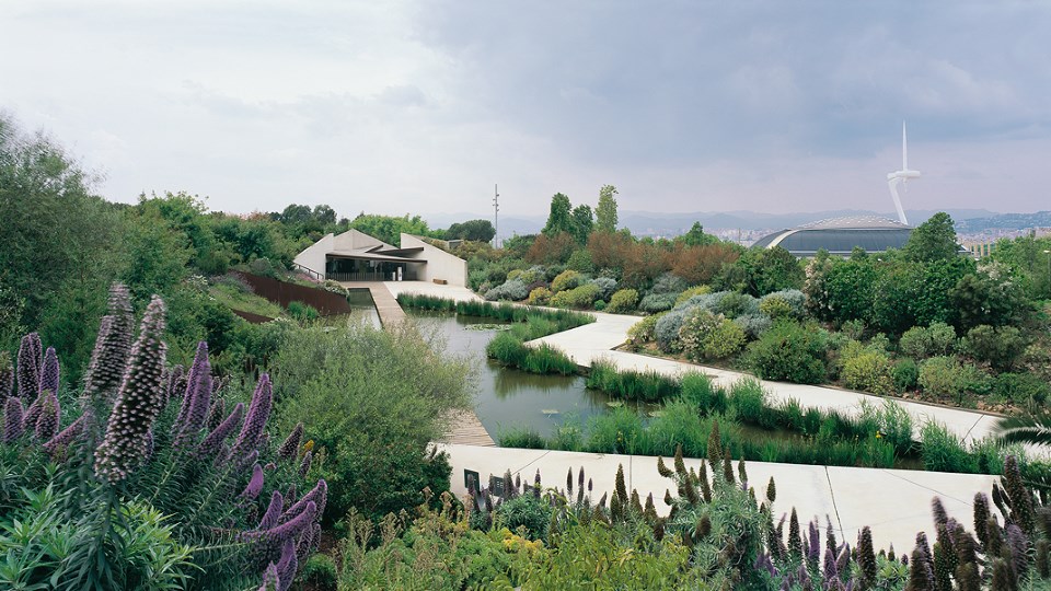 Jardí Botànic de Barcelona Jardí Botànic de Barcelona