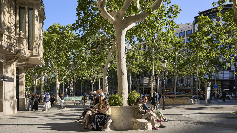 Associació del Passeig de Gràcia de Barcelona Associació del Passeig de Gràcia de Barcelona